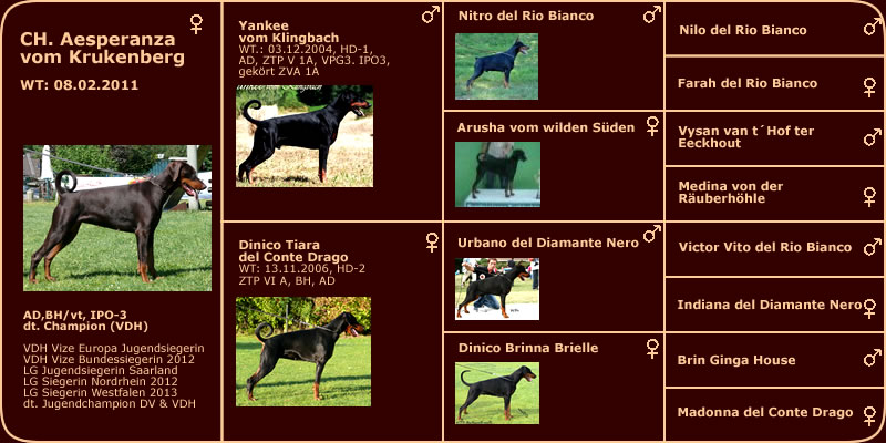 Dinico Assanto Stammbaum